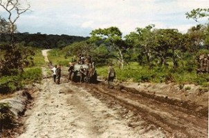 Picada no Leste de Angola